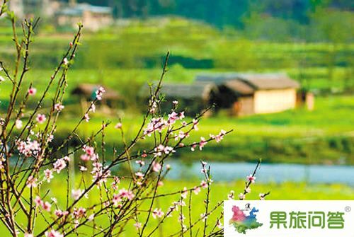 云南壩美旅游最佳時間,云南壩美旅游最佳季節