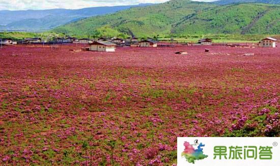 昆明、大理、麗江、瀘沽湖、西雙版納生態休閑之旅【帶石林九鄉】