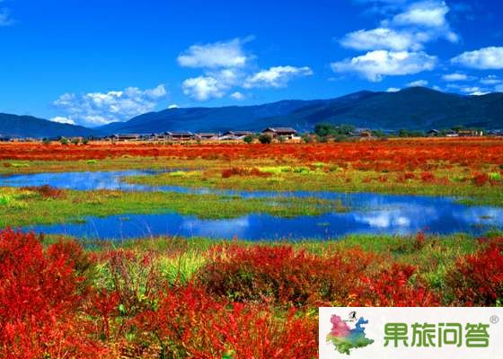 昆明、大理、麗江、香格里拉 7晚8天 生態休閑之旅