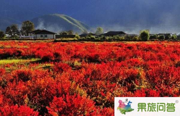 超值休閑游—麗江、香格里拉、大理六日游 HX