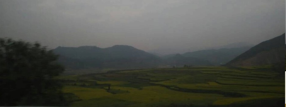 云南羅平油菜花已經開了,你還等什么?