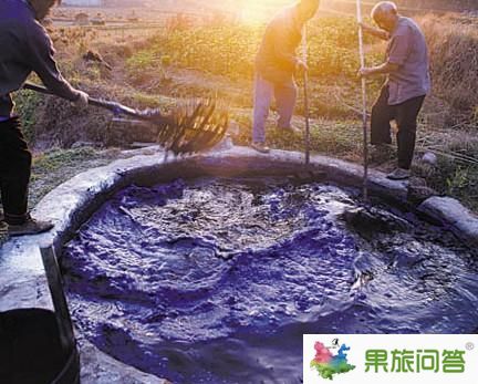 藍染根是什么?藍染根產在大理嗎?藍染技術現在還有嗎?